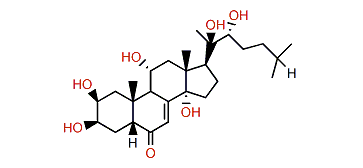 Ajugasterone C